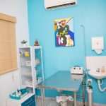 OSSO DURO | Clínica Veterinária - Petshop, banho e rosa